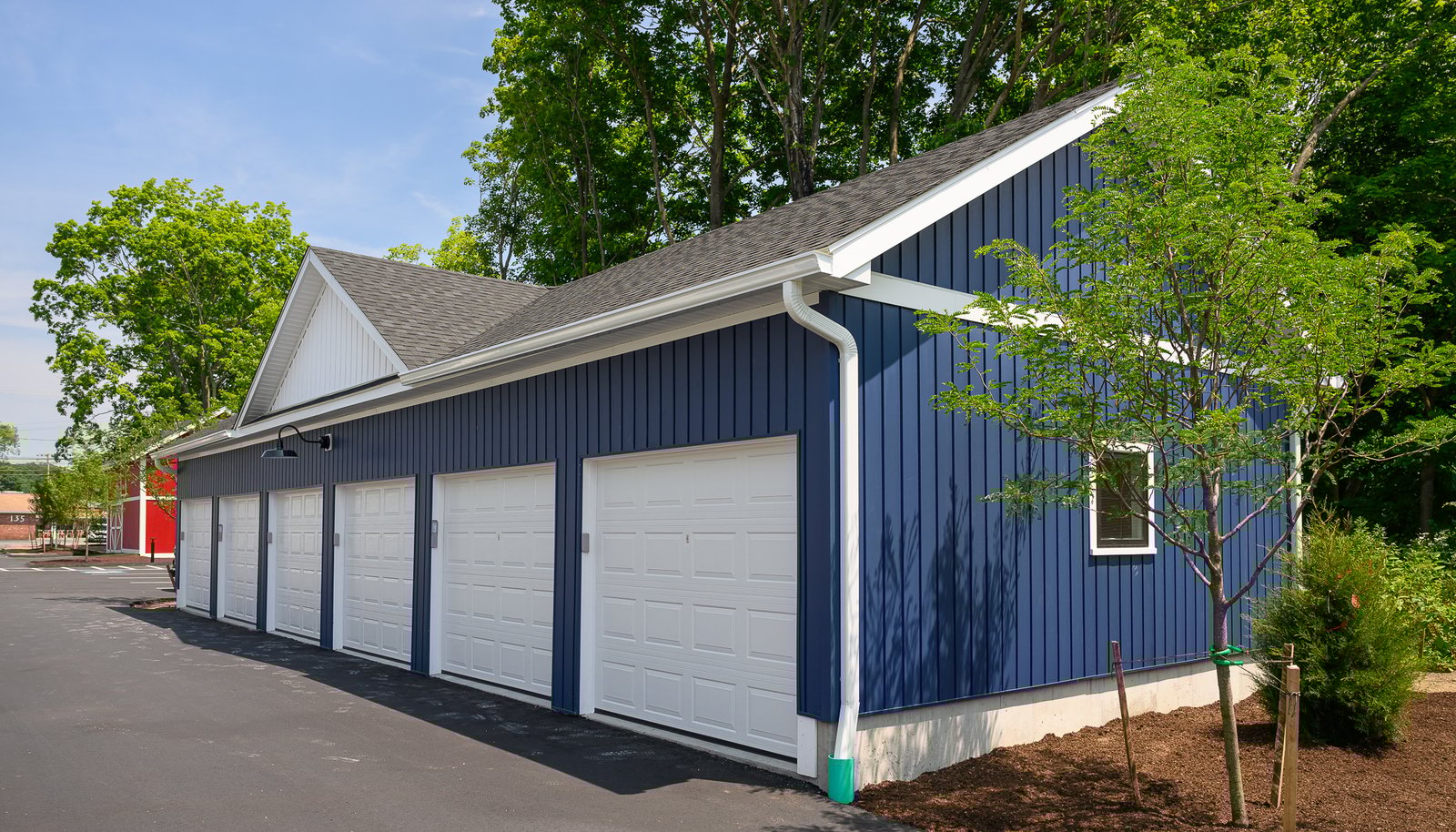 Image 19