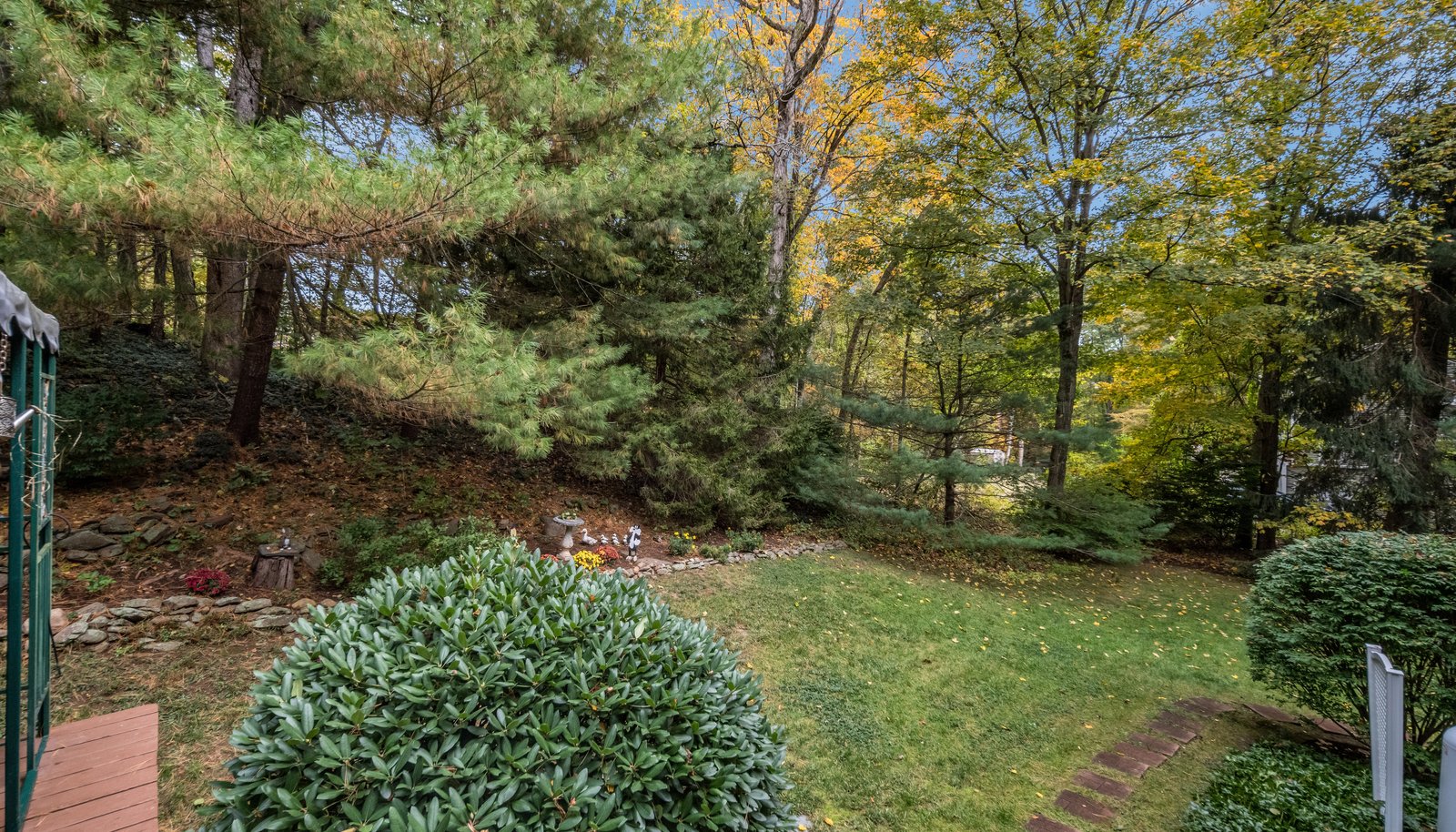 Image 30