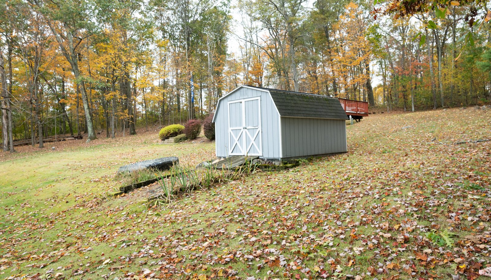 Image 37