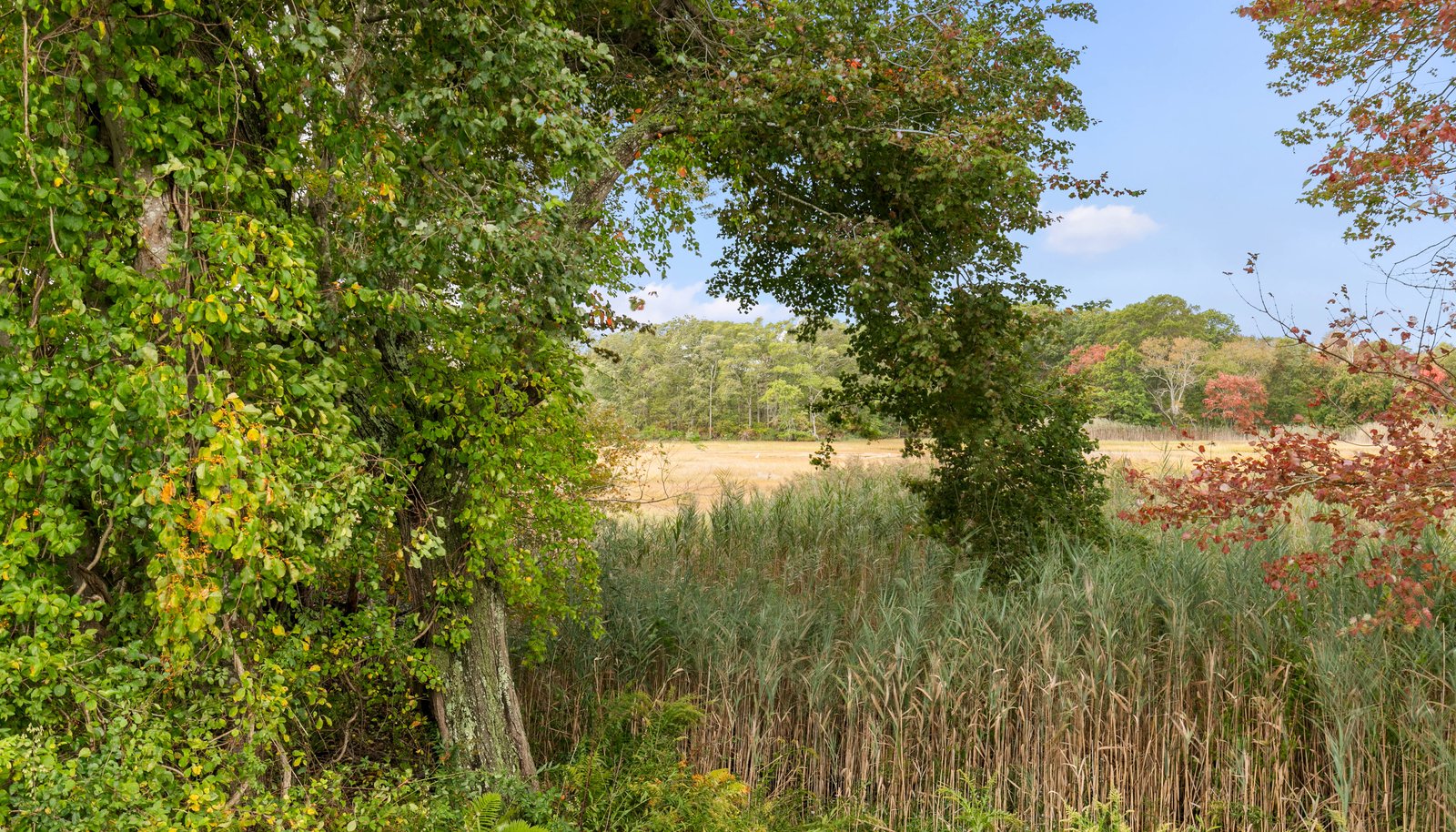 Image 26