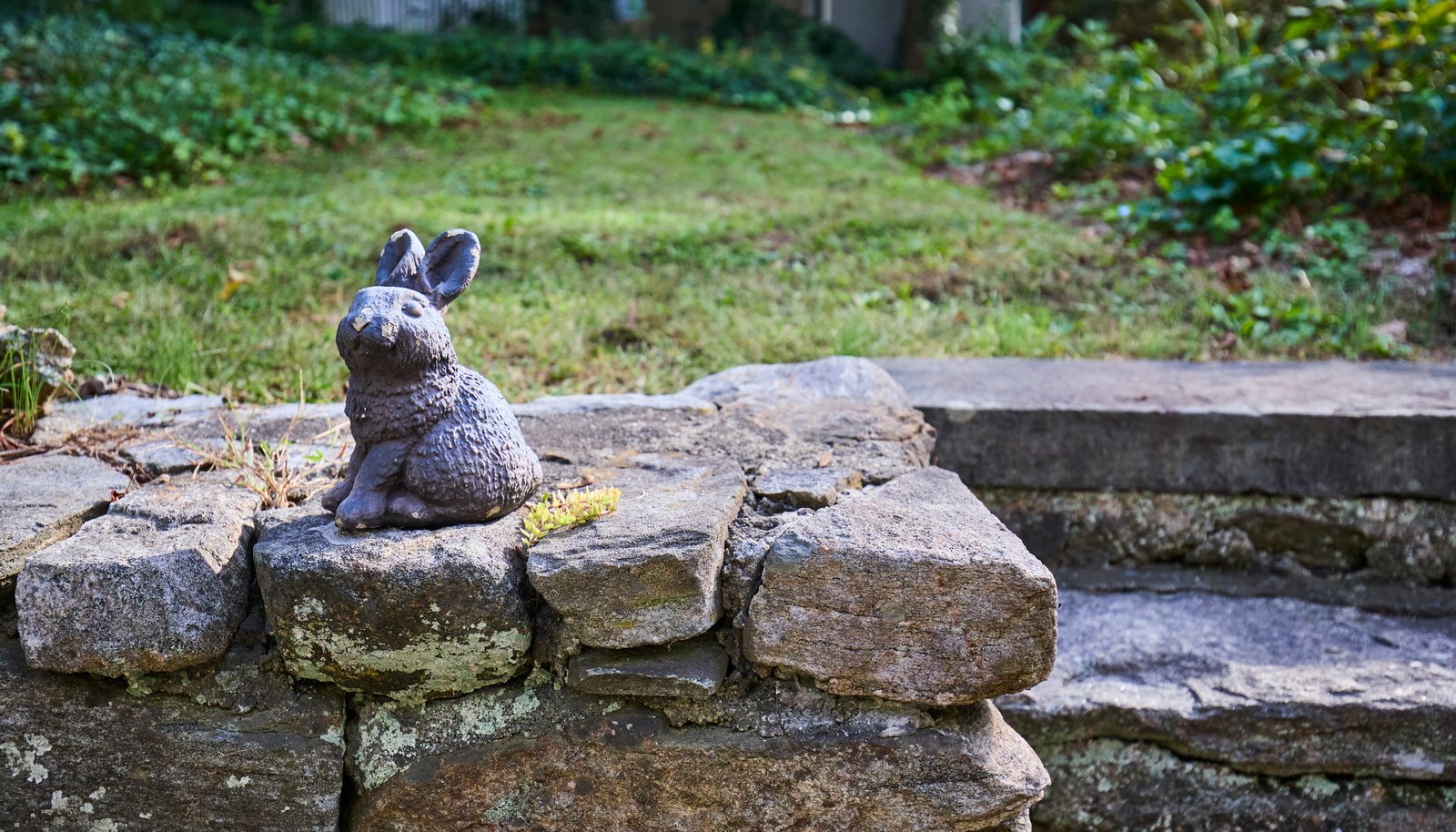 Image 17
