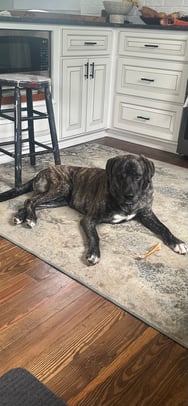 Debra Pardales photo 42