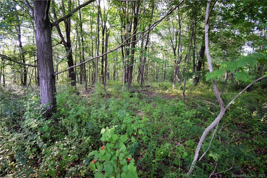 Lot #22 Kenneth Circle  #MAP #77 Photo 2