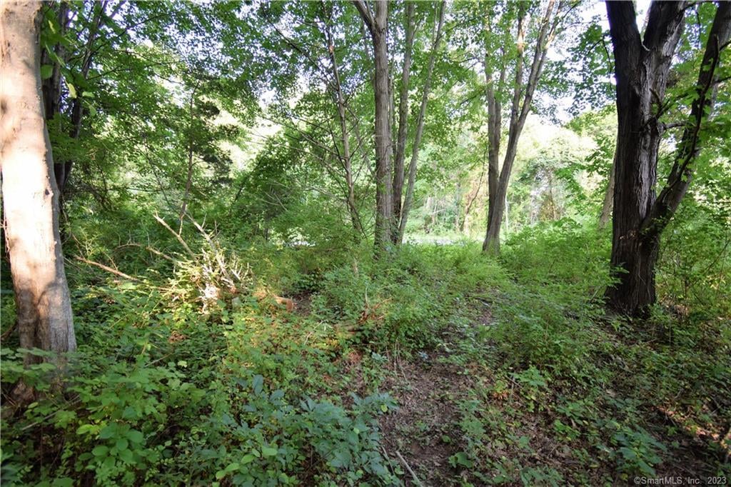 Lot 28b Bruce Lane  #MAP 83 Photo 4