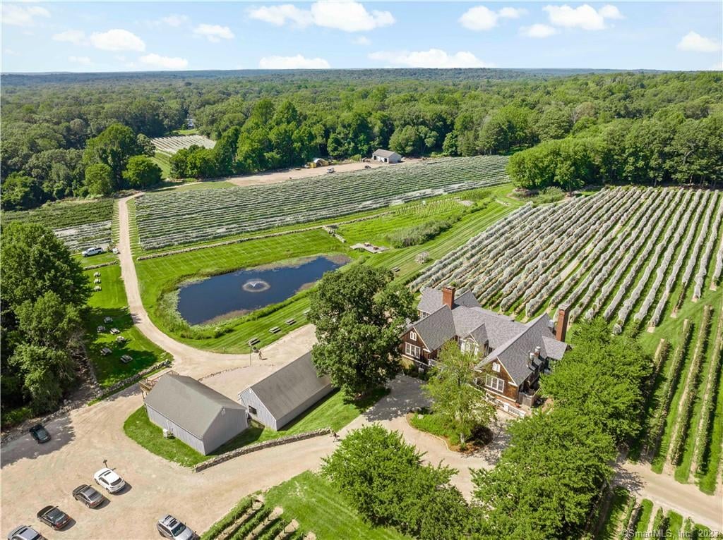 115 Cow Hill Road Photo 3