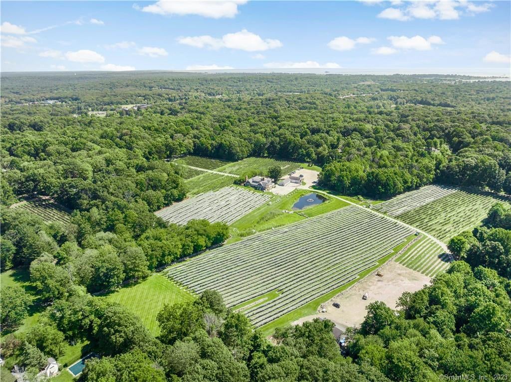 115 Cow Hill Road Photo 4