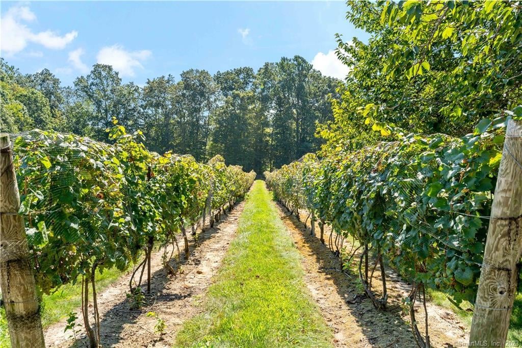 115 Cow Hill Road Photo 11