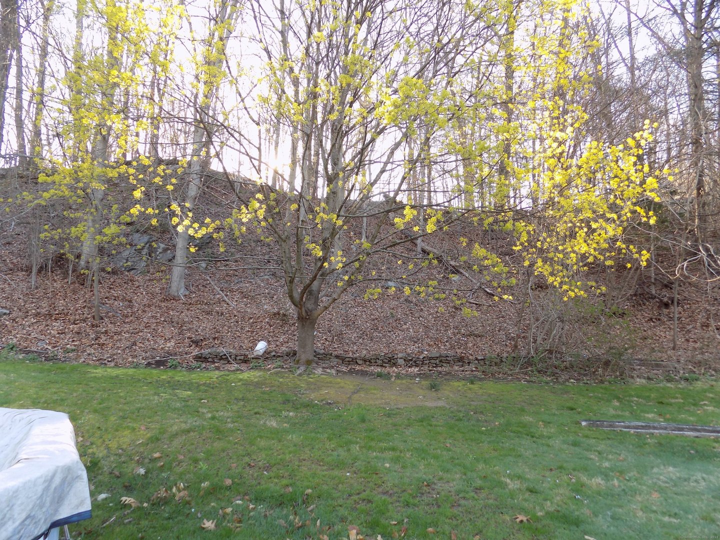 48 & 50 Nashville Road Photo 6