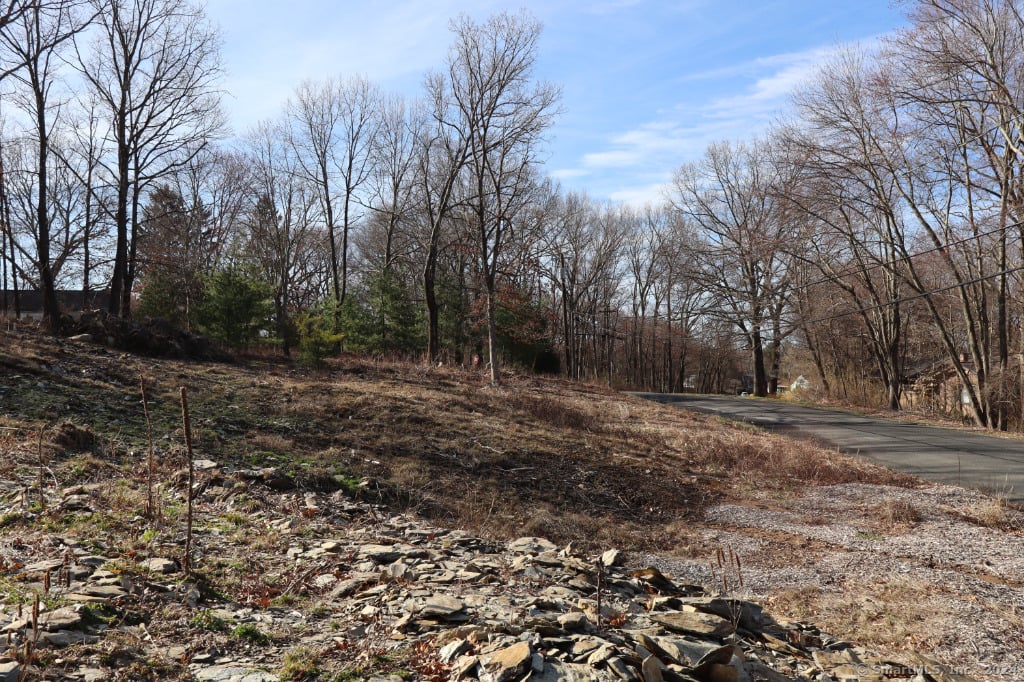 190 Blueberry Hill Road Photo 2