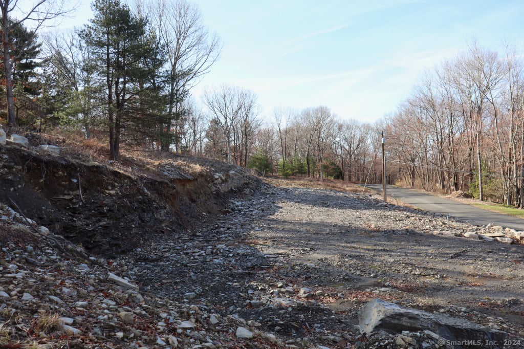 190 Blueberry Hill Road Photo 5