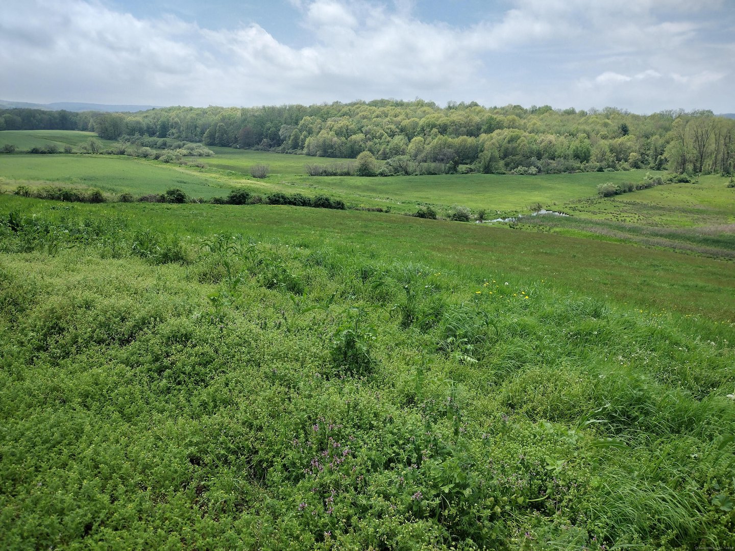 148 & 153 Wallingford Road Photo 5