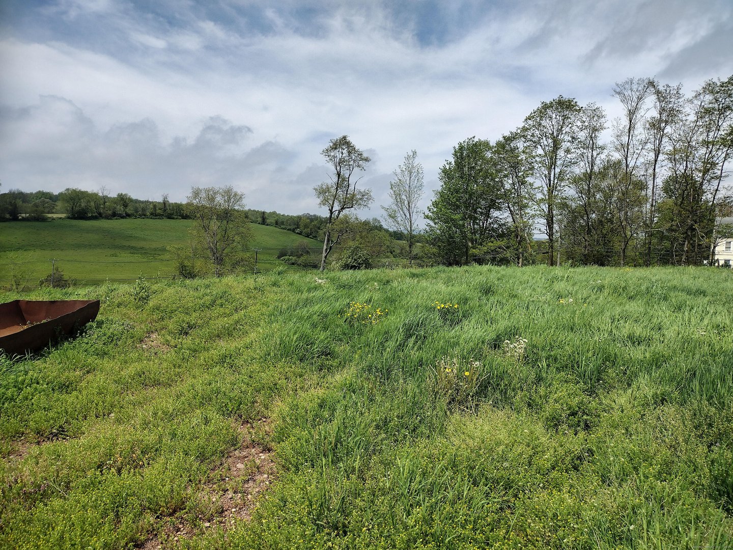 148 & 153 Wallingford Road Photo 7