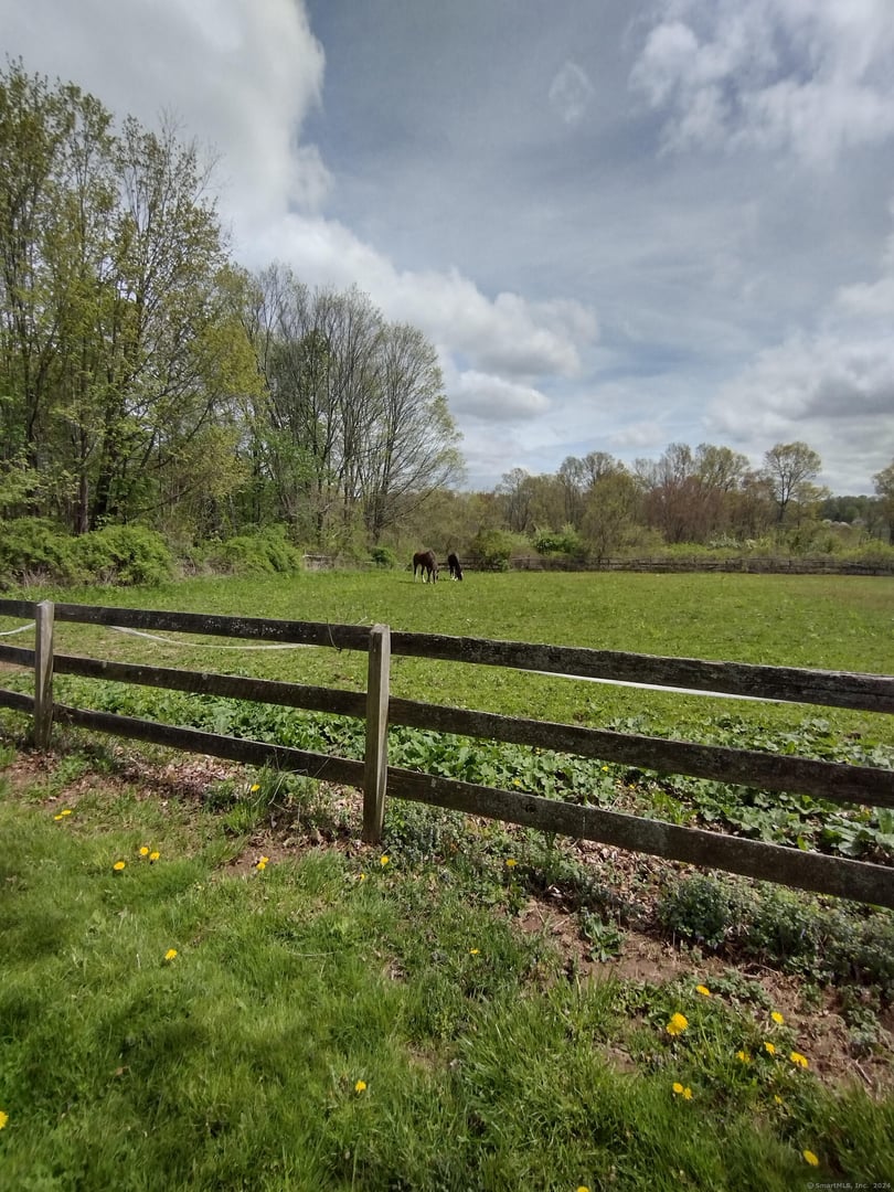 148 & 153 Wallingford Road Photo 36