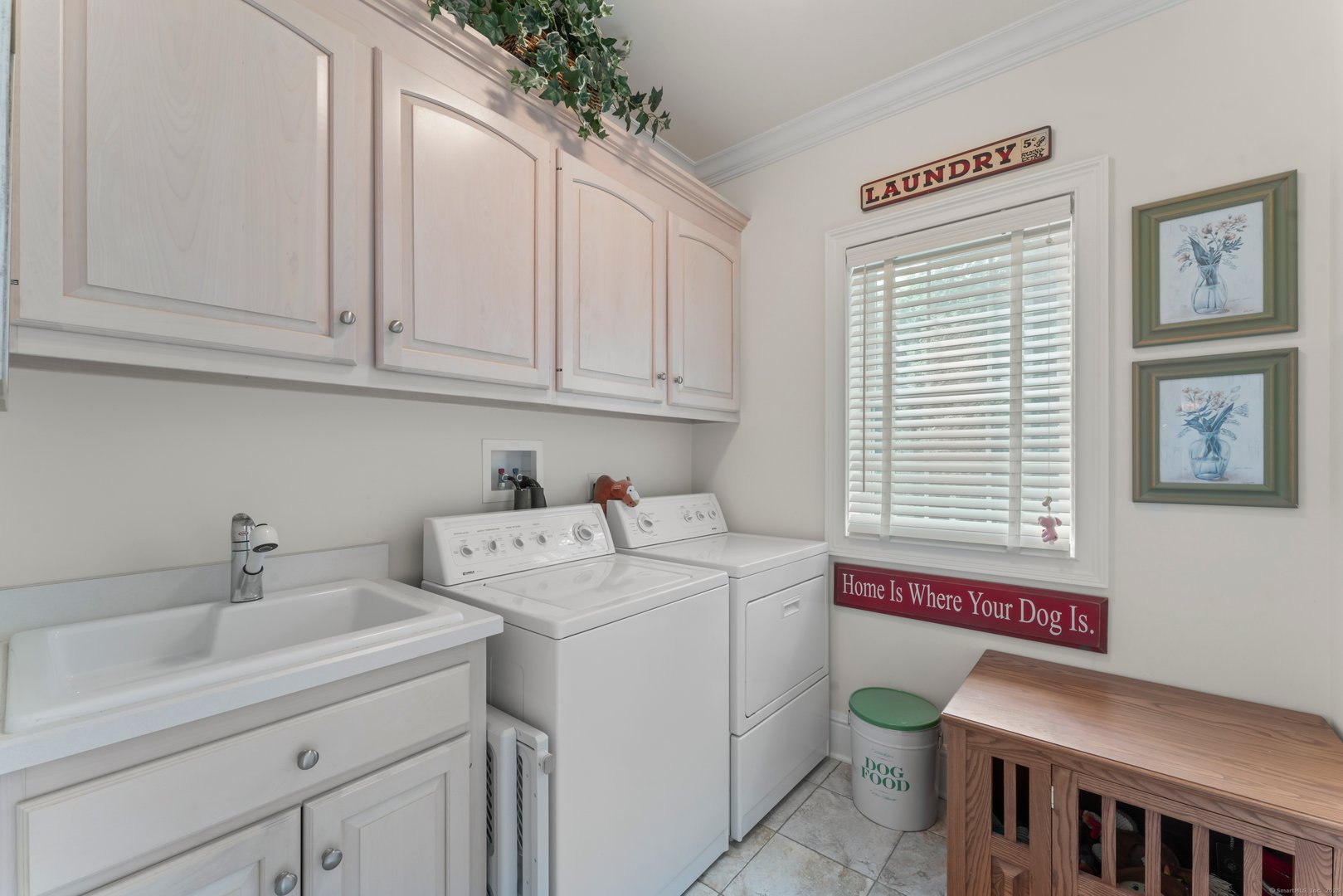 373 Transylvania Road Photo 19