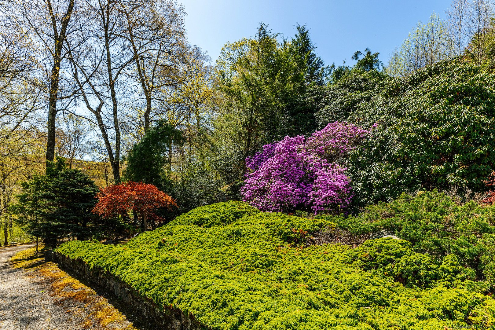 155 Shortwoods Road Photo 39