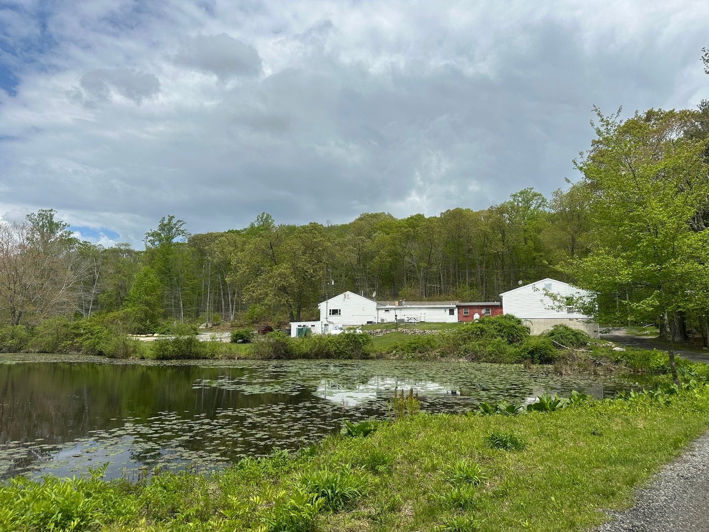 497 Winthrop Road Photo 6