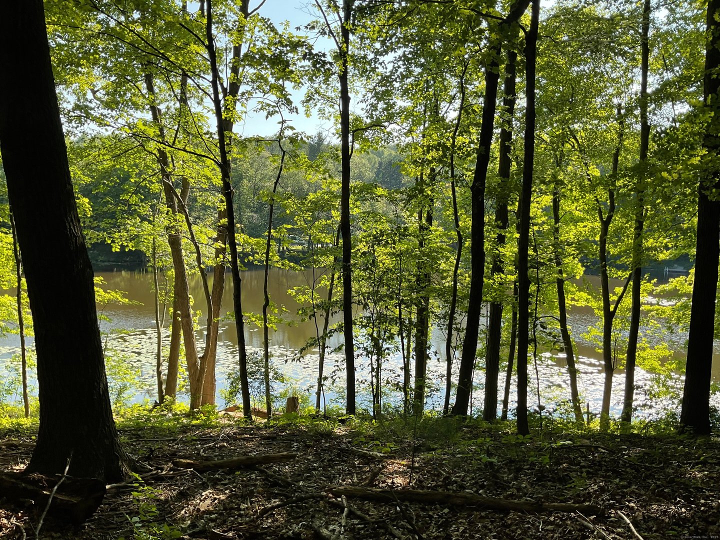 176 Picketts Ridge Road Photo 4