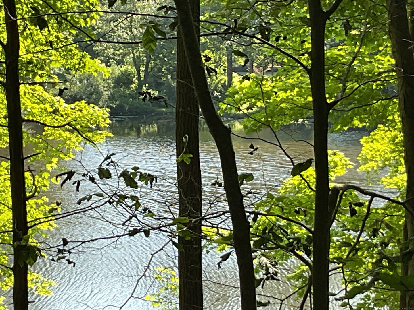 176 Picketts Ridge Road Photo 5