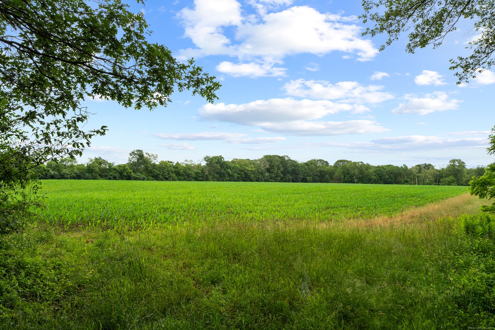 55a Anna Farm Road West Photo 20