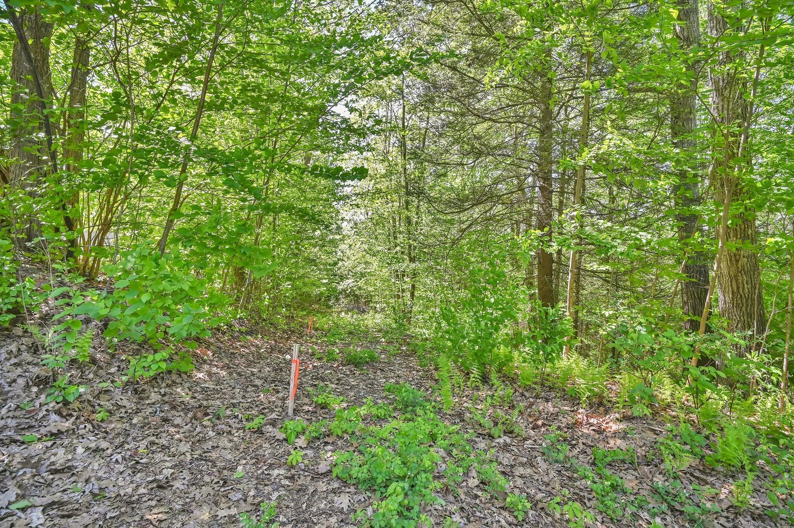 19 Ratlum Mountain Road Photo 18