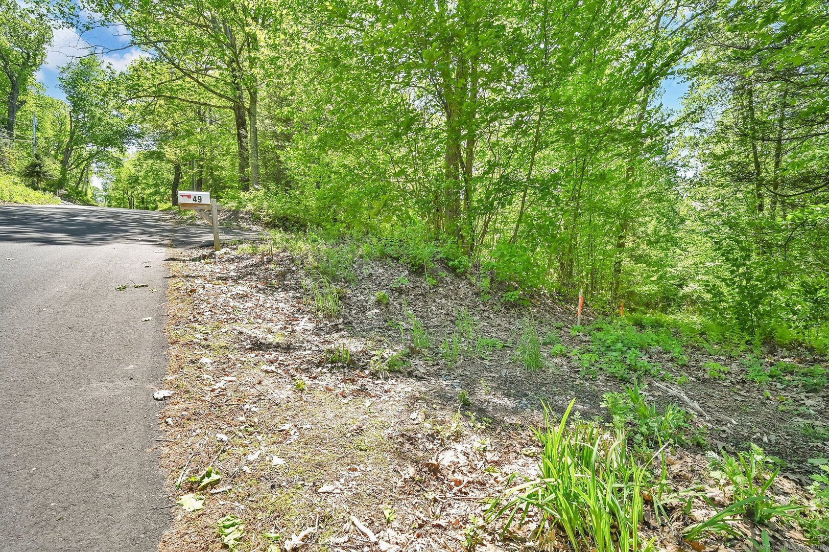 19 Ratlum Mountain Road Photo 21