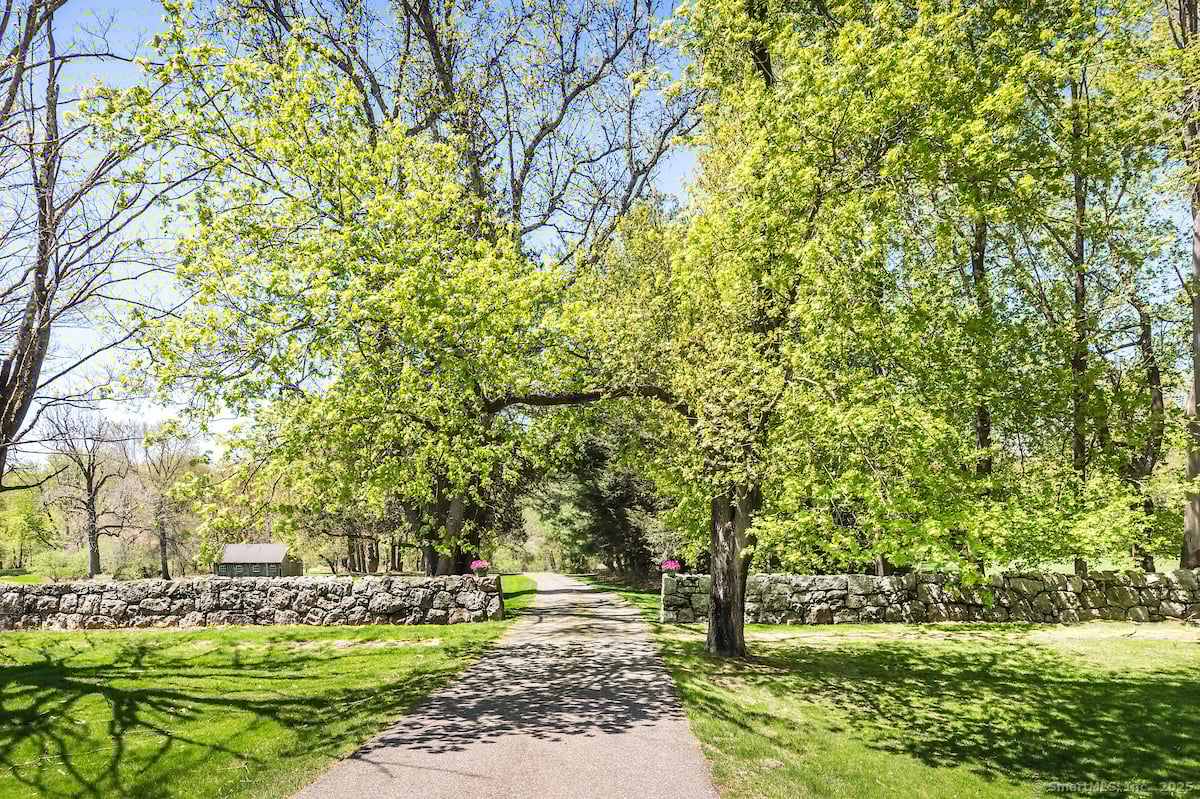 21 South Road Photo 3