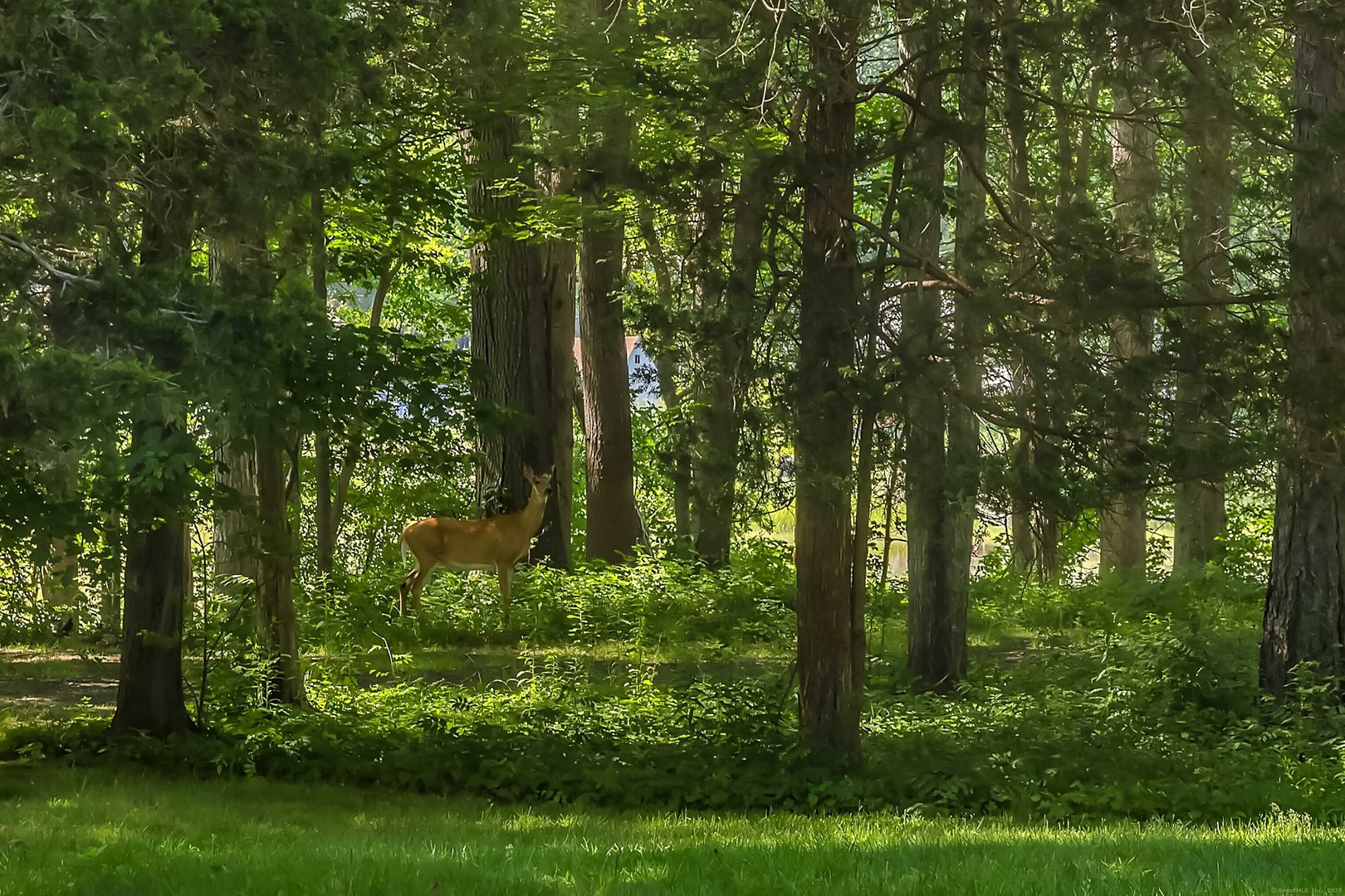 448 Grove Beach Road North Photo 39