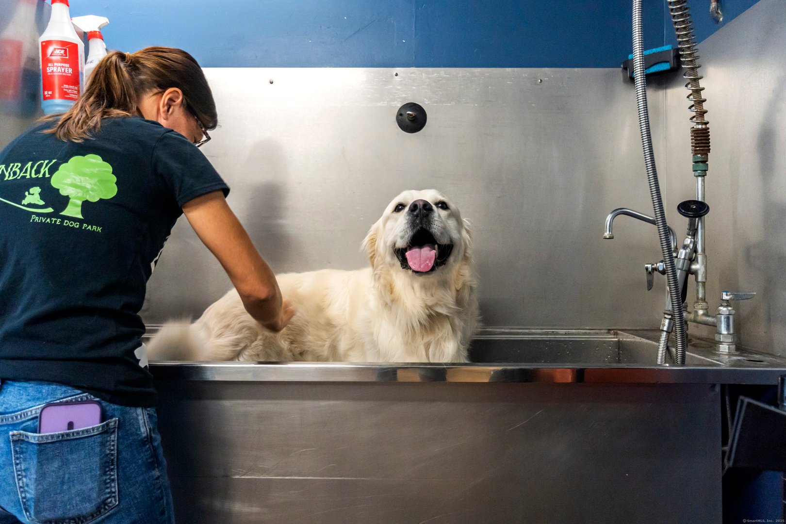 319 Main Street South Photo 14