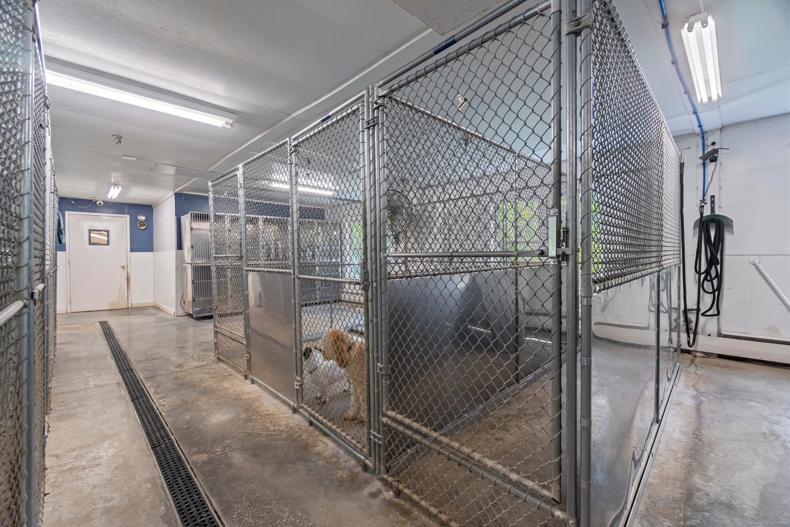 319 Main Street South Photo 15