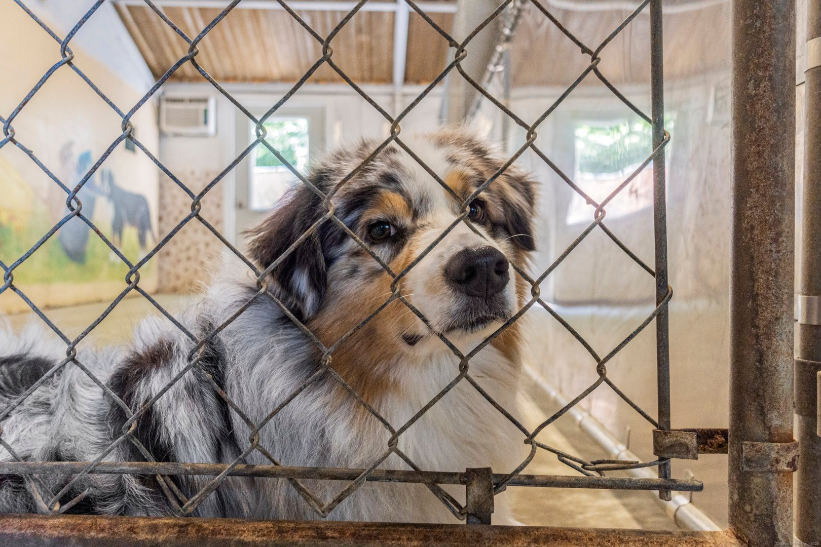 319 Main Street South Photo 17