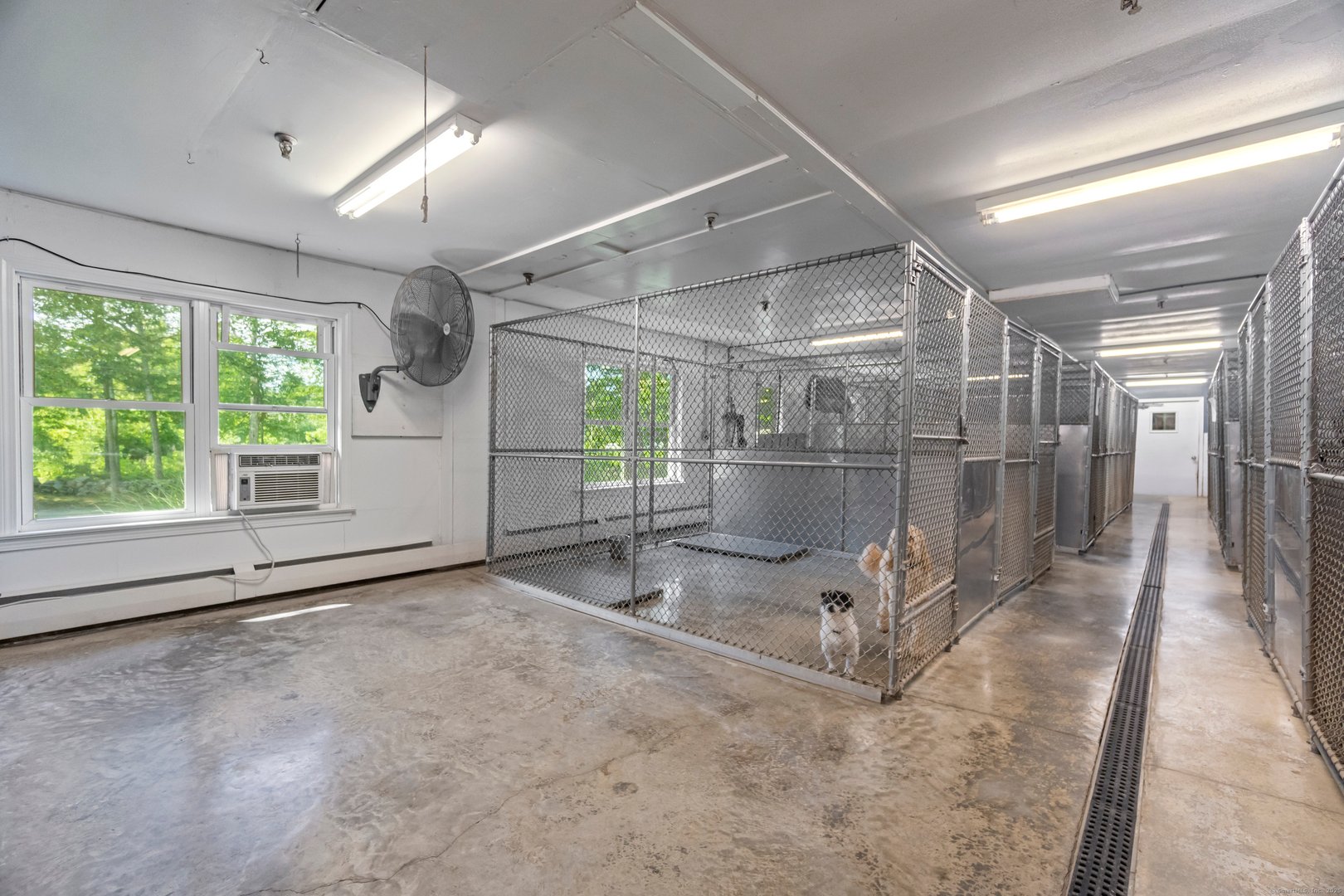 319 Main Street South Photo 13