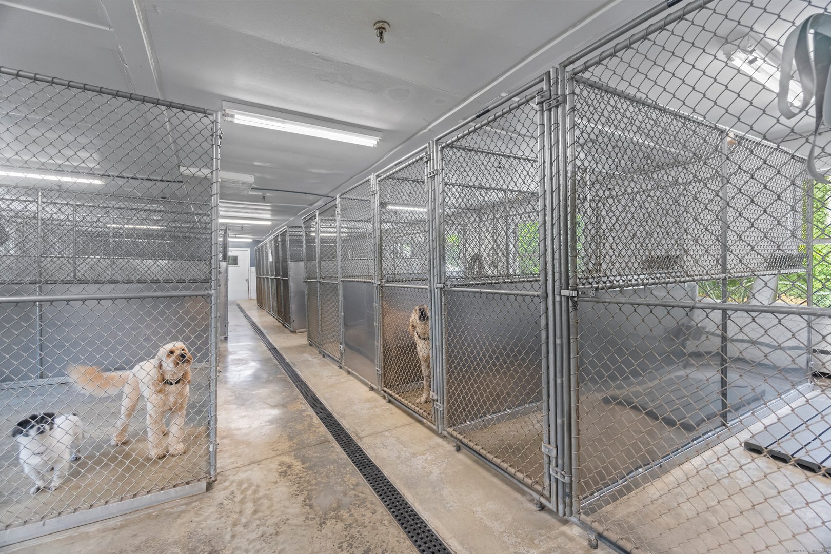 319 Main Street South Photo 14