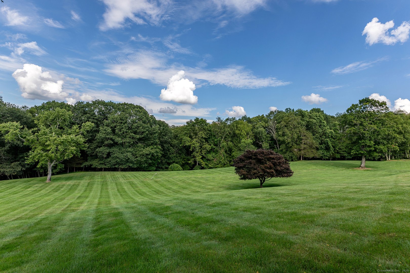 370 Northrop Street Photo 7