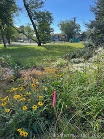 20 North Road Photo 6