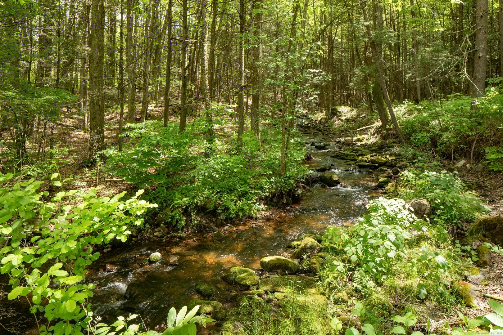 37 Lower Barrack Road Photo 2