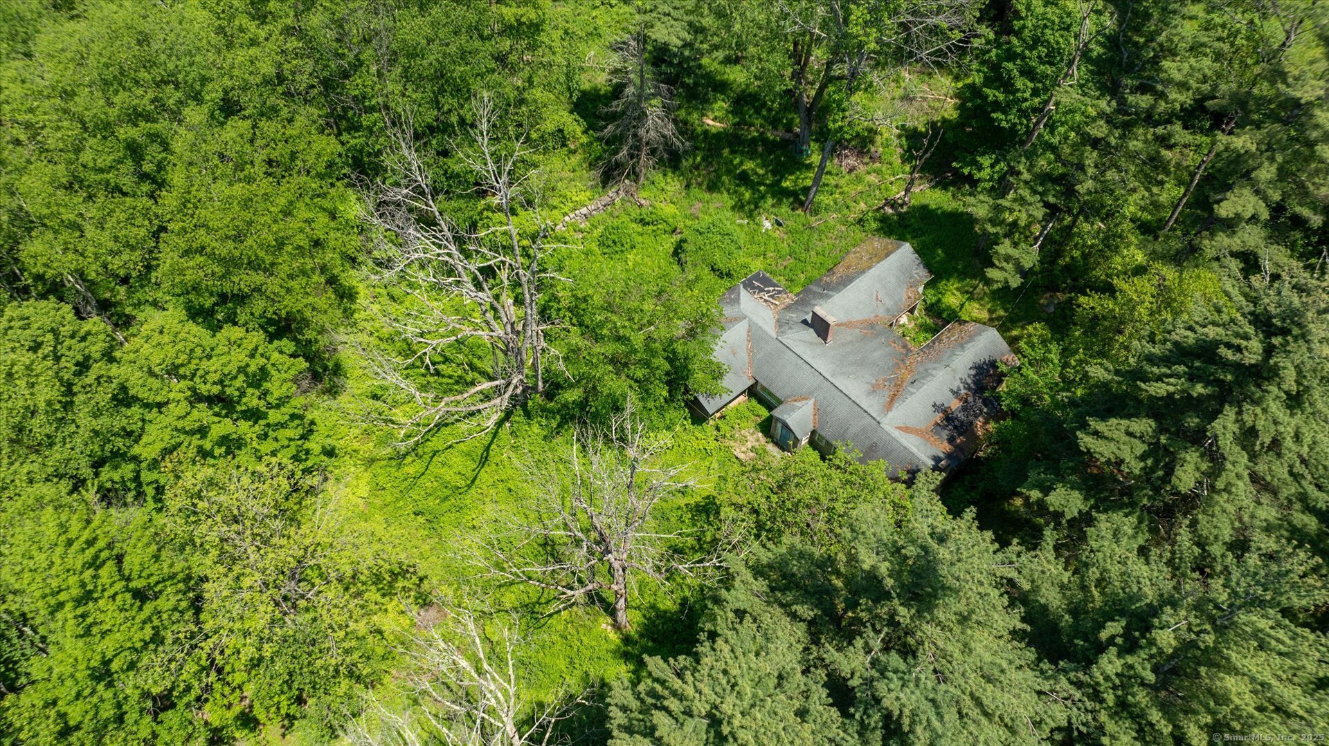 430 Smith Hill Road Photo 7