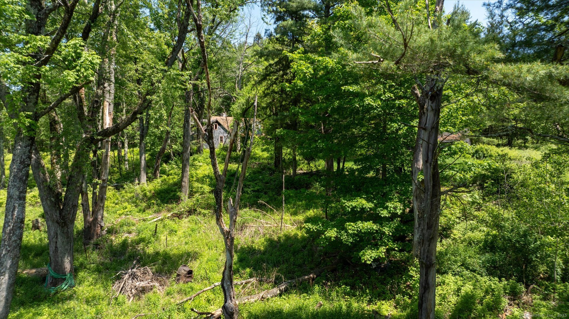 430 Smith Hill Road Photo 12