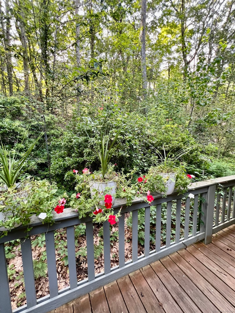 389 Trailsend Drive Photo 19