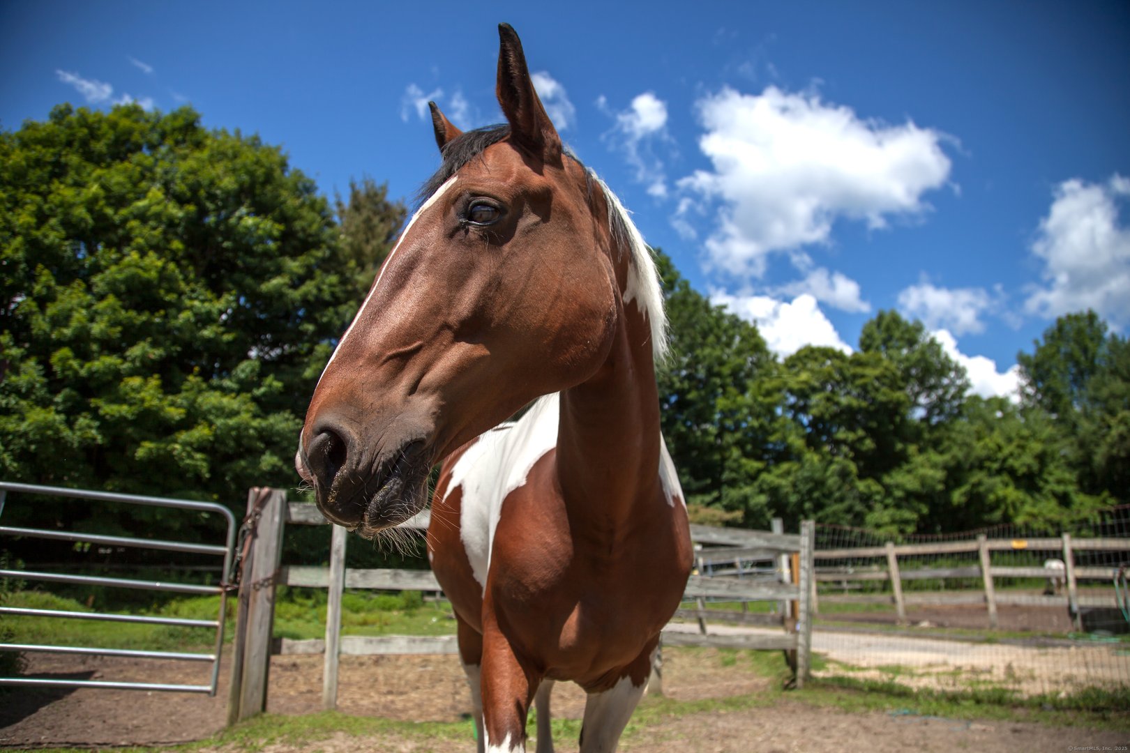 389 Trailsend Drive Photo 28