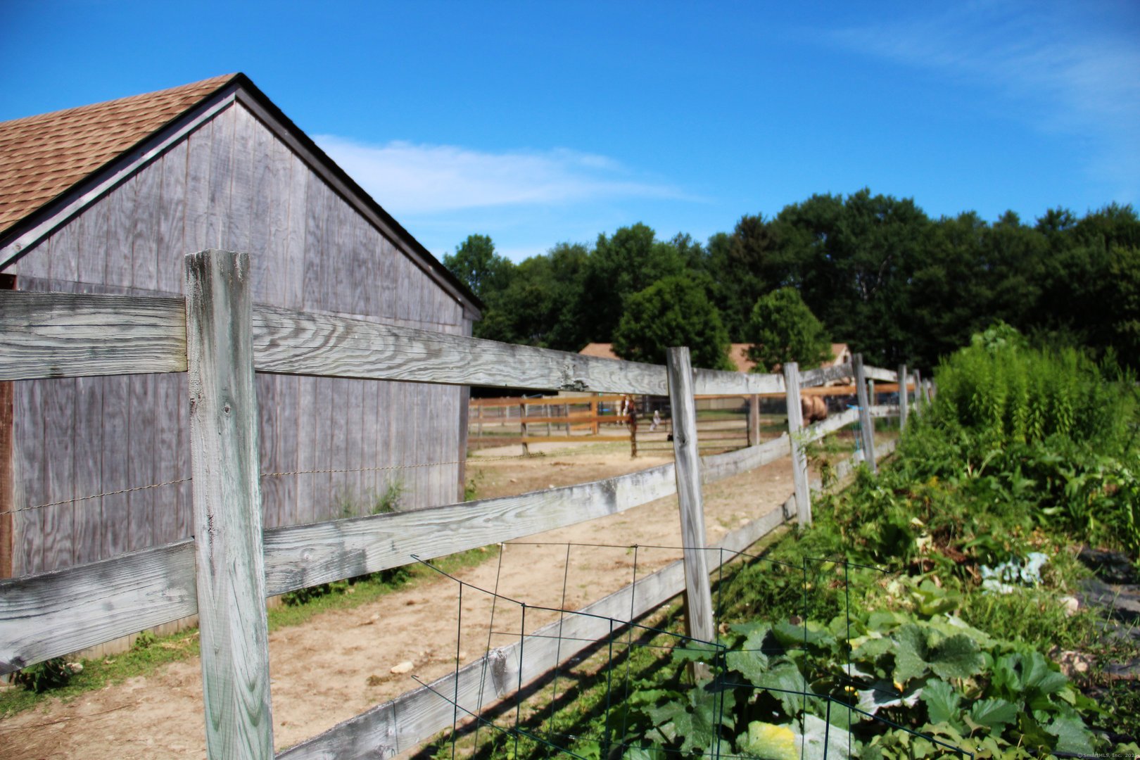 389 Trailsend Drive Photo 33