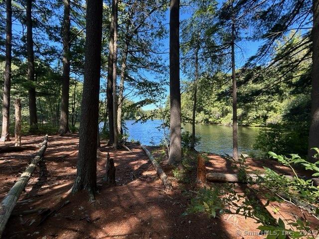 173 Chestnut Ridge Road Photo 40