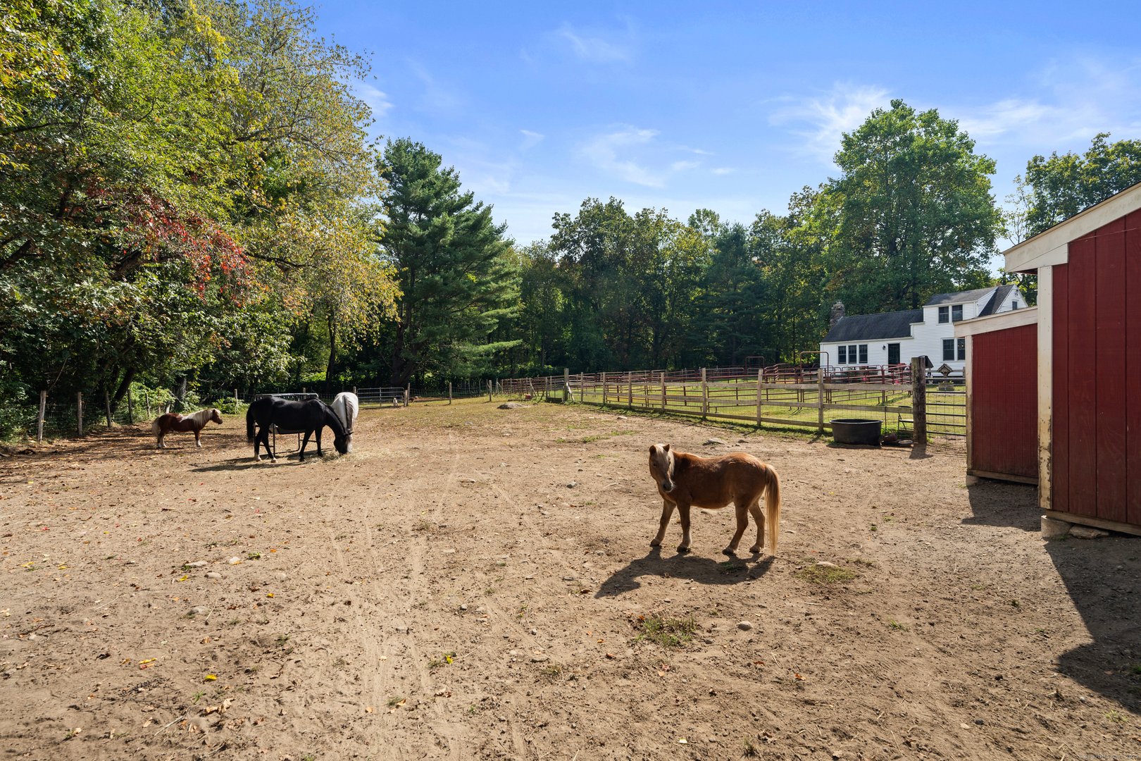 298 Kenyon Road Photo 37