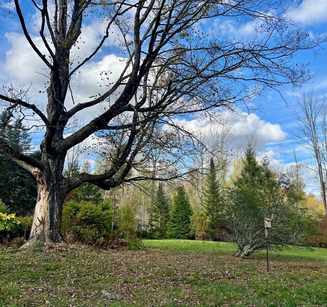 123 Goshen East Street Photo 12