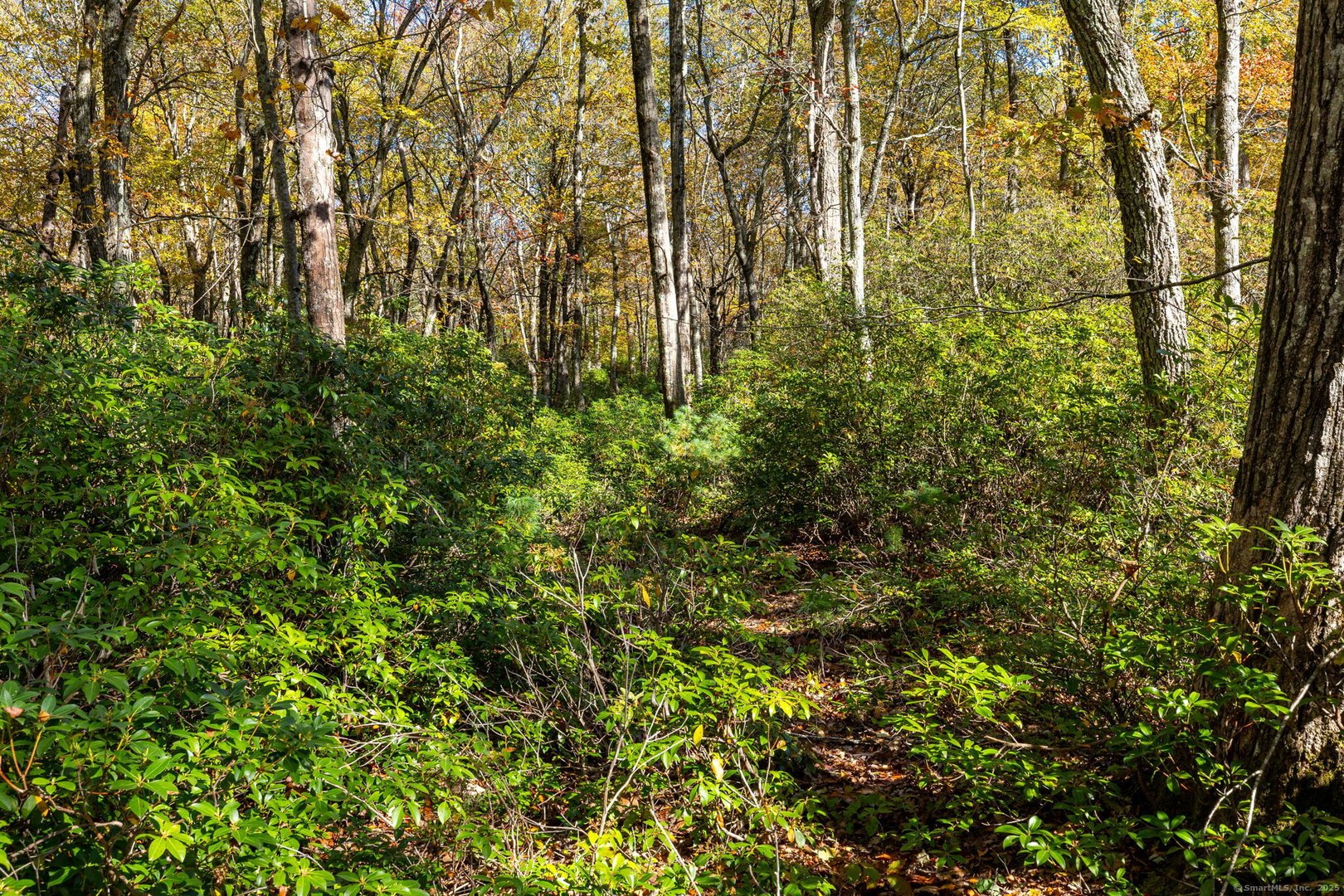 20 Edgerton Road Photo 5