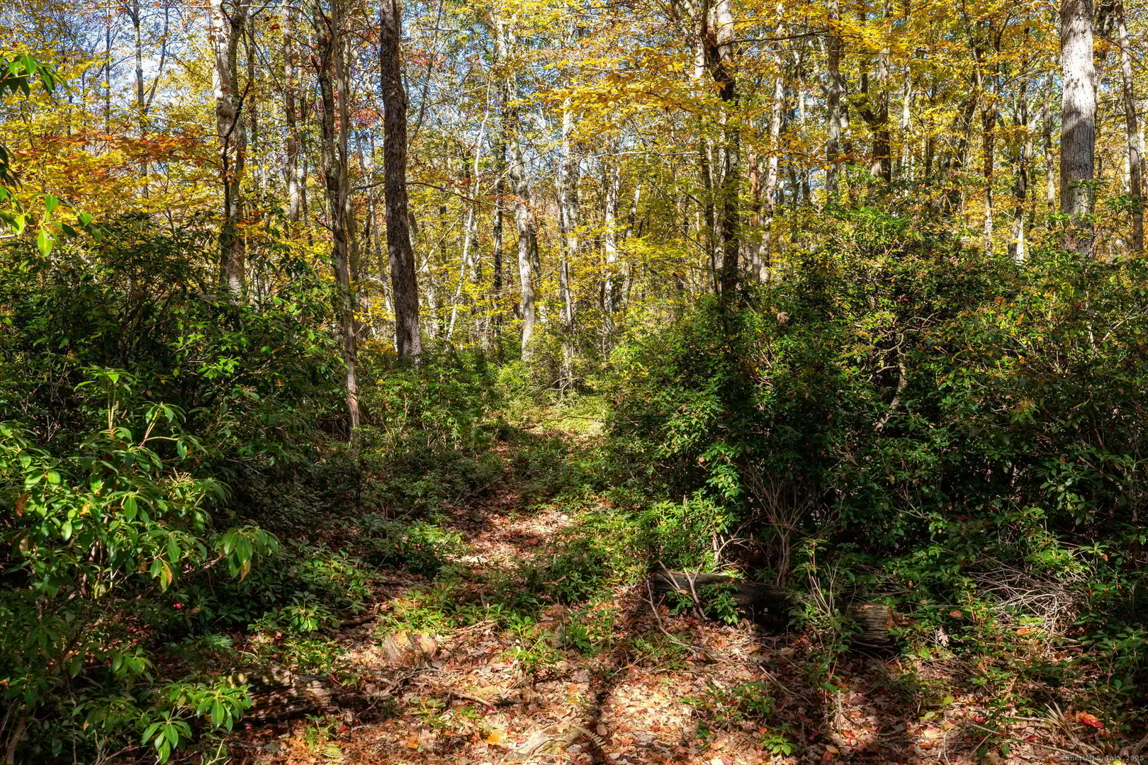 20 Edgerton Road Photo 7