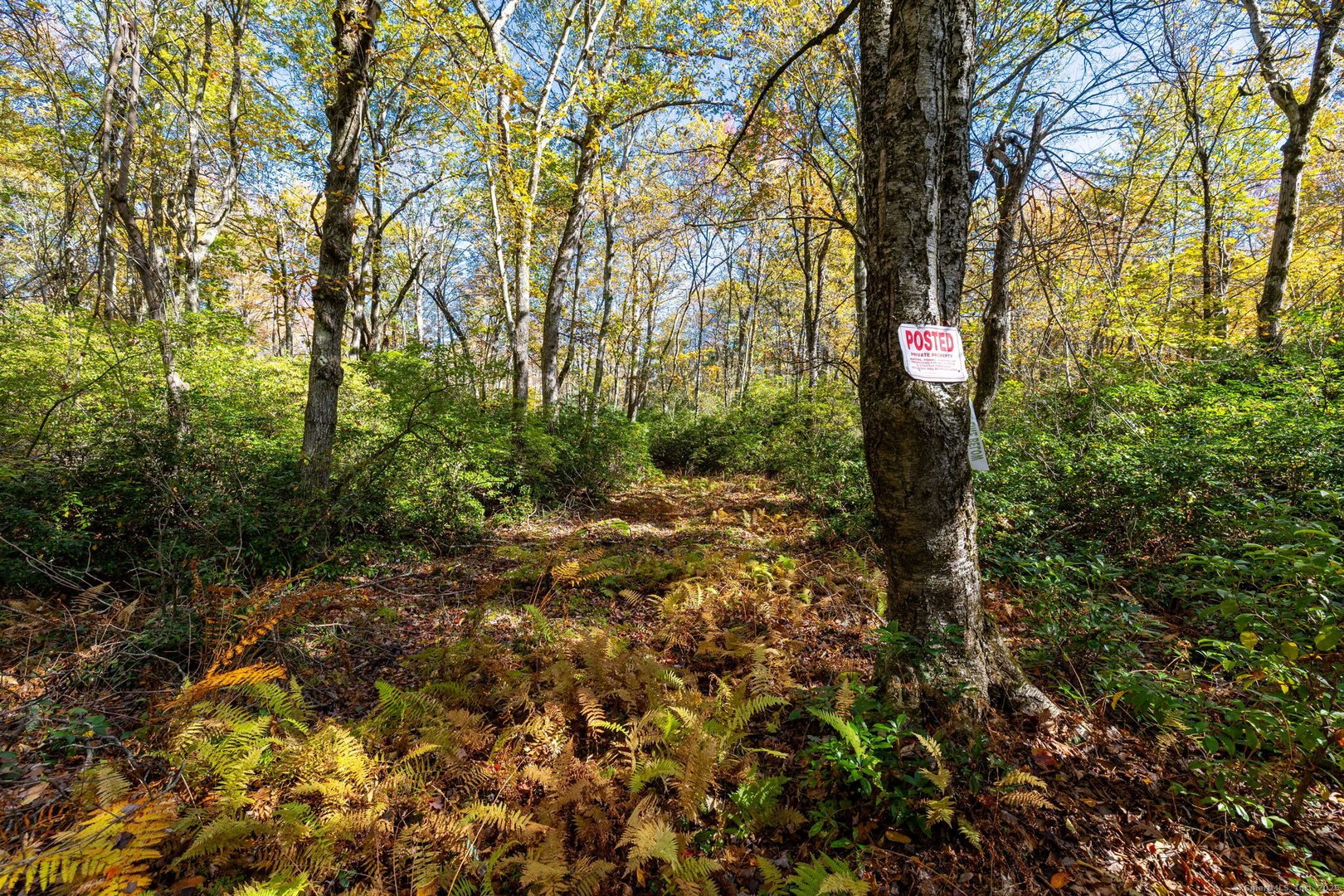 20 Edgerton Road Photo 10