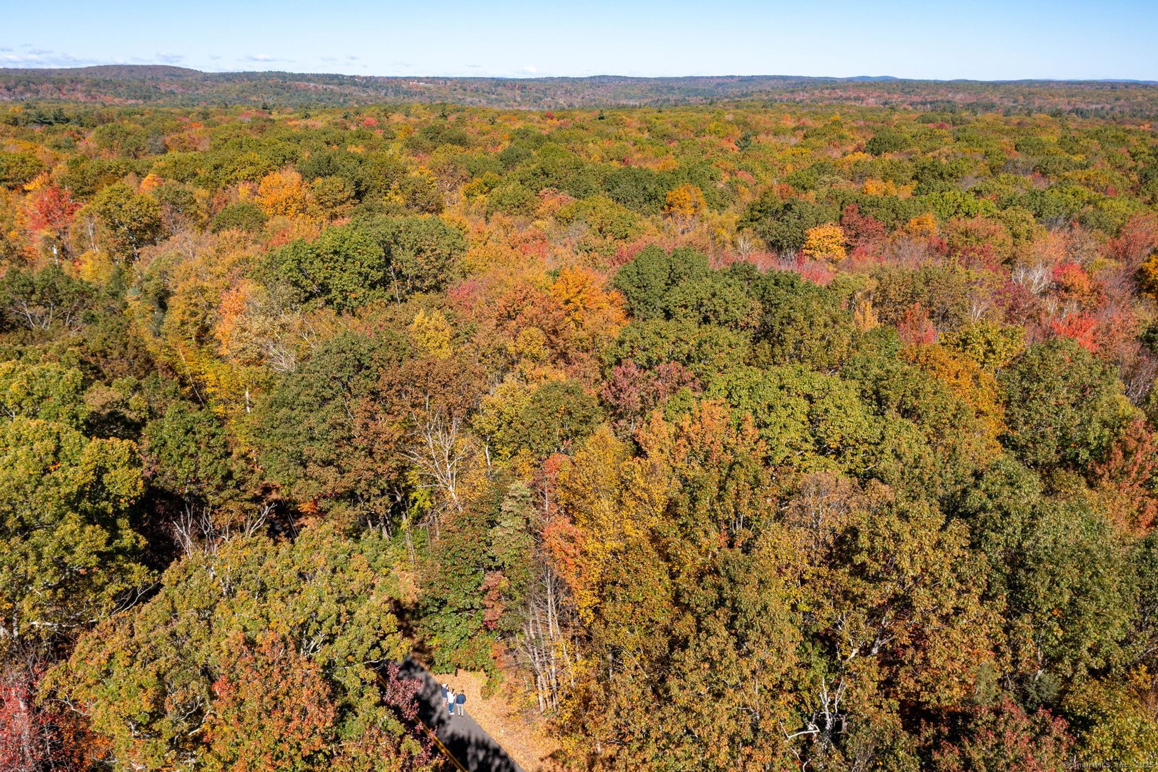 20 Edgerton Road Photo 13