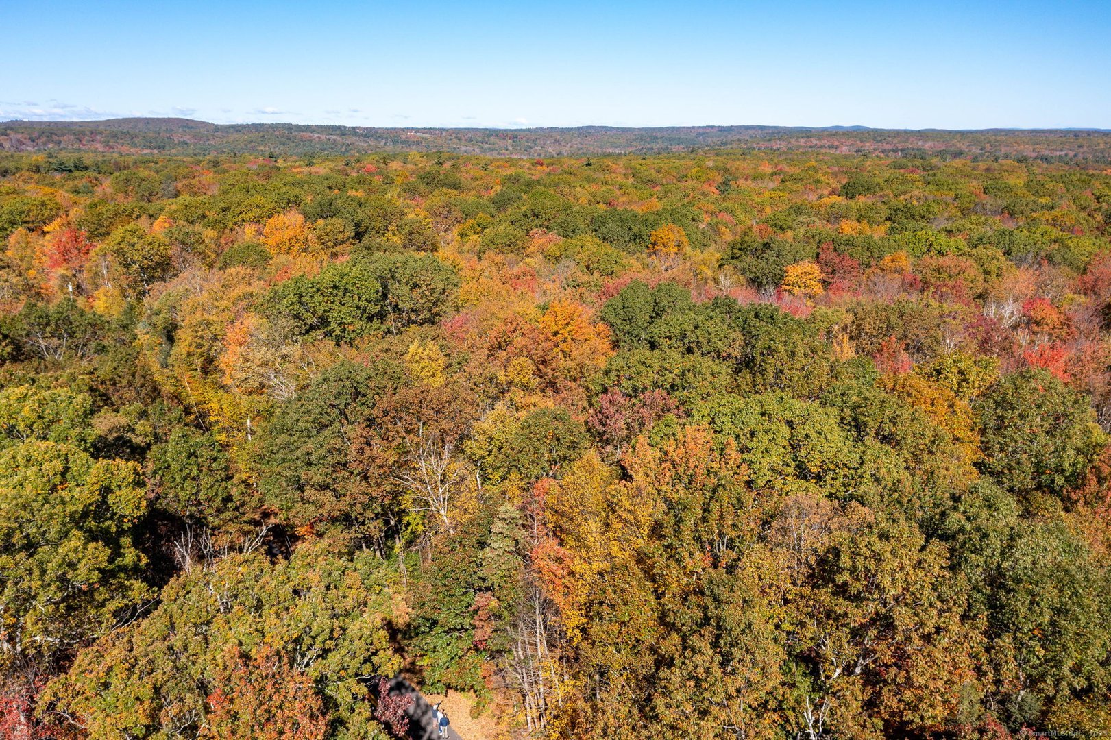 20 Edgerton Road Photo 14