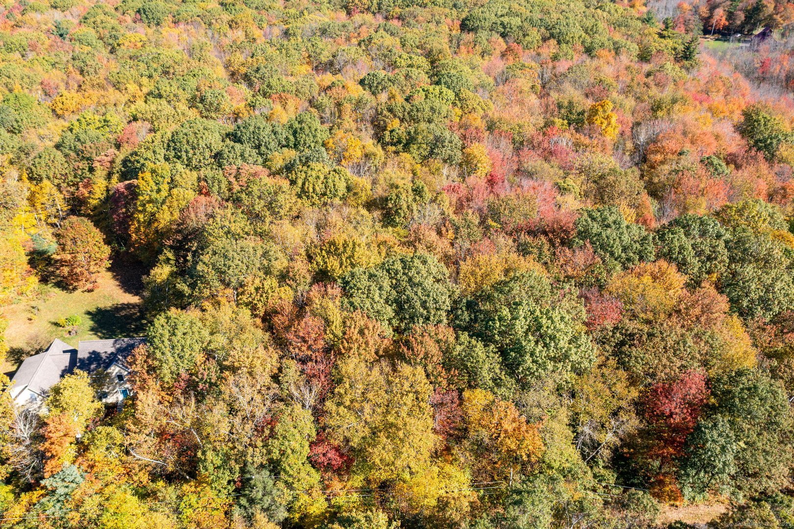 20 Edgerton Road Photo 23