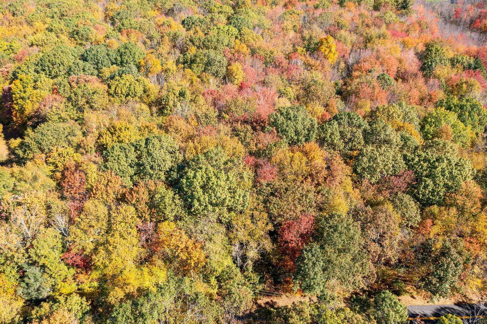 20 Edgerton Road Photo 24